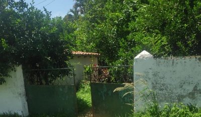 Buscan a dueños de perros que fueron abandonados y murieron de hambre