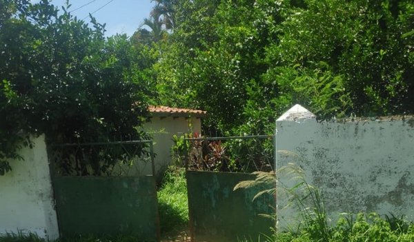 Buscan a dueños de perros que fueron abandonados y murieron de hambre