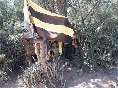 Pobladores en el Chaco piden que no desaparezca el Kurusu Guarani - Nacionales - ABC Color