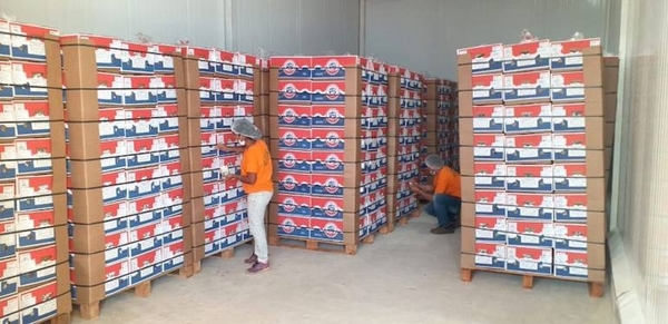 HOY / Paraguay realizó primer envío de cerca de 25 Tn de banana a Chile