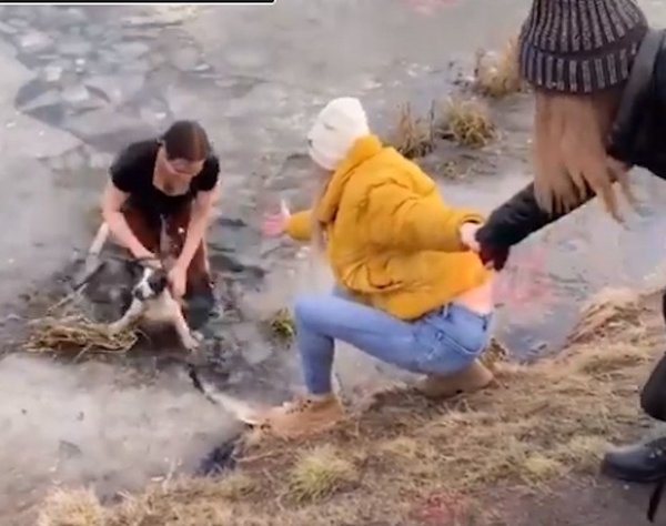 Mujer rescata a su perro que quedó atrapado en una laguna de hielo | Noticias Paraguay