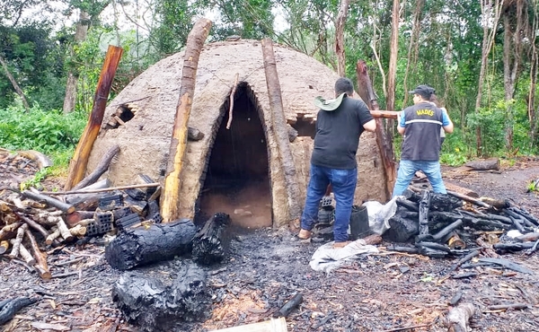 Hallan y destruyen hornos de producción de carbón en la Reserva Morombí | .::Agencia IP::.