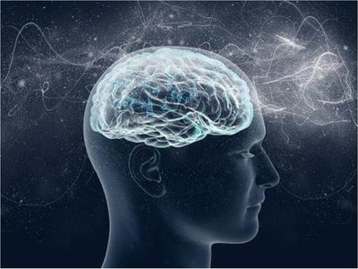 Descifrar el cerebro, el reto que implica a más de 500 laboratorios