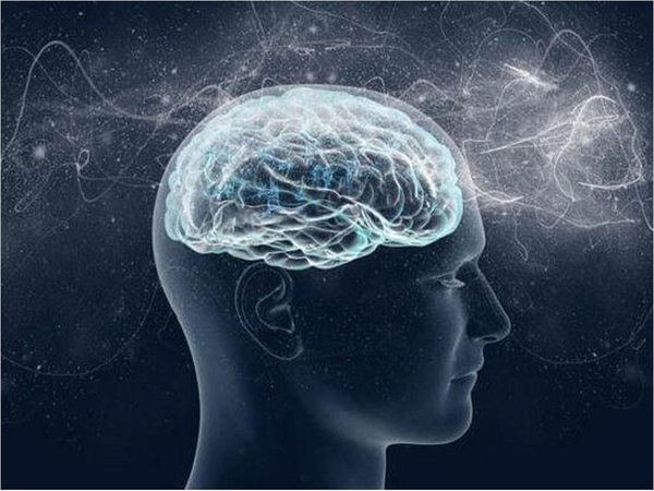 Descifrar el cerebro, el reto que implica a más de 500 laboratorios