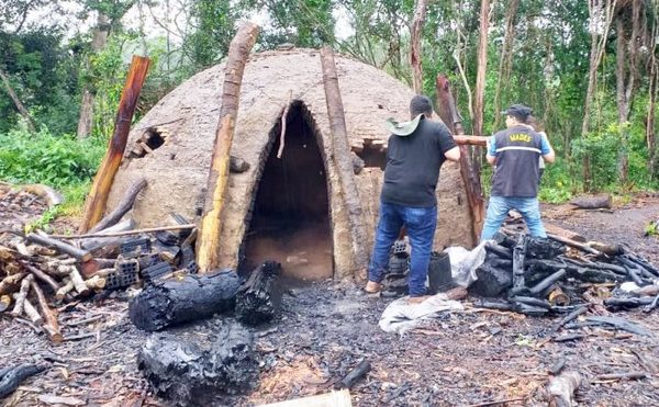 Hallan y destruyen hornos de producción de carbón en la Reserva Morombí » Ñanduti