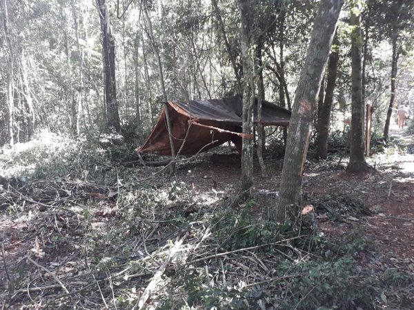 Denuncian invasión de reserva y tala ilegal de árboles en Alto Paraná