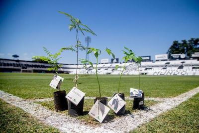 Un clásico a favor del medio ambiente