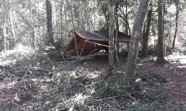 Denuncian invasión de reserva y tala ilegal de árboles en Puerto Indio