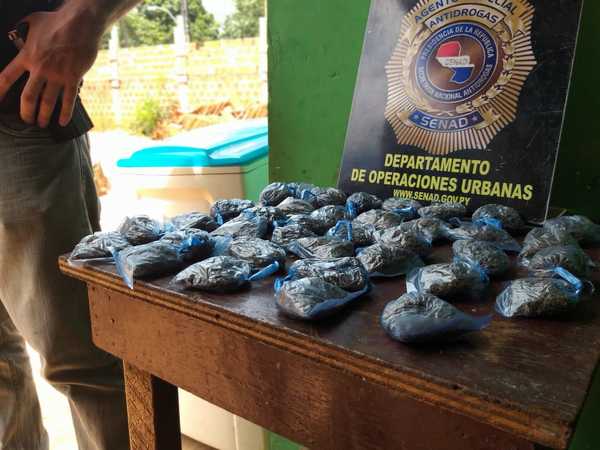 Detienen a proveedor que ofrecía marihuana a menores en Luque - .::RADIO NACIONAL::.