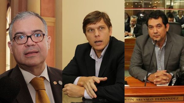 Se perfila reelección de Alliana e intendencia de capital para Añetete