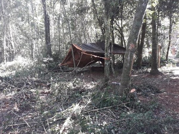Itaipú Binacional denuncia invasión de reserva y tala ilegal de árboles en Alto Paraná | Noticias Paraguay