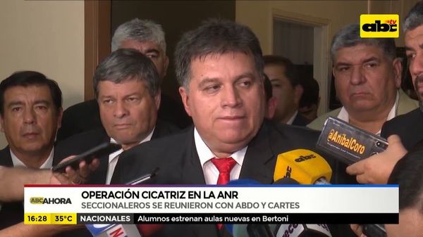 Operación Cicatriz: reunión de presidentes de seccionales con Alliana y Horacio Cartes - ABC Noticias - ABC Color