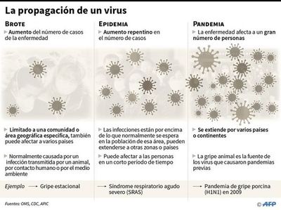 Endurecerían “protocolo coronavirus” para el ingreso de personas al país - Locales - ABC Color
