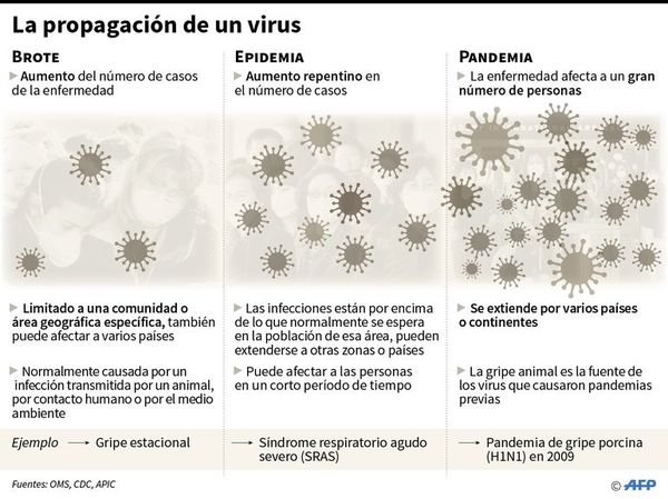 Endurecerían “protocolo    coronavirus” para el ingreso de personas al país - Locales - ABC Color