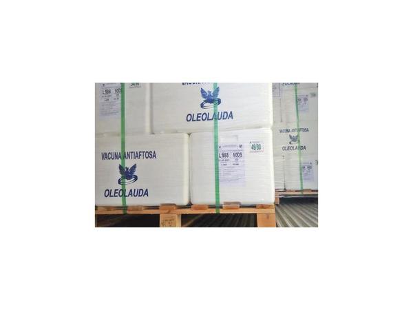 Laboratorio paraguayo envía vacuna antiaftosa a Uruguay