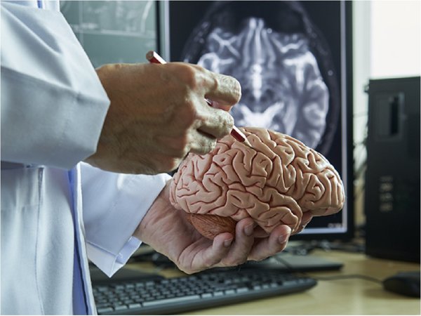 Estudio indaga las raíces biológicas de la generosidad y el egoísmo