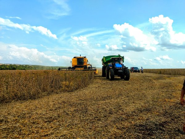 En el Alto Paraná, productores estiman cosecha récord de soja