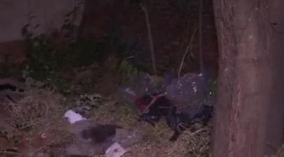 Harán autopsia a menor hallada muerta en una mochila