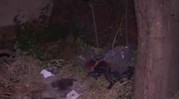 Harán autopsia a menor hallada muerta en una mochila