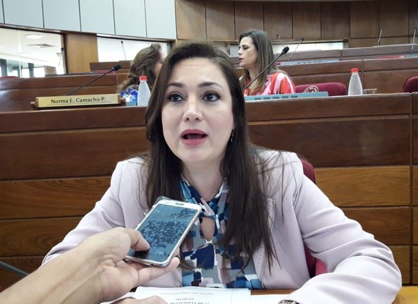 Diputada presentó pedido de informes a la Municipalidad de CDE