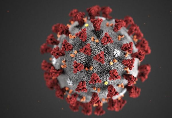 Ascienden a 11 los muertos y 322 los contagiados por coronavirus en Italia - Mundo - ABC Color