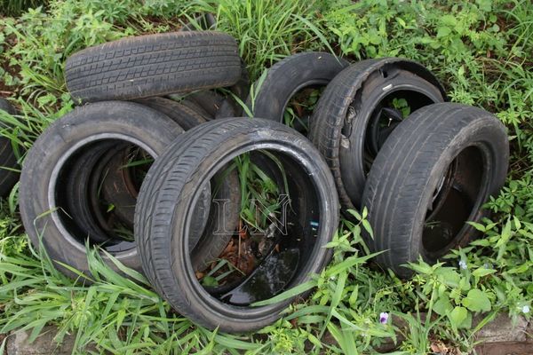 No registran casos de dengue en comunidad Kambay de Caaguazú