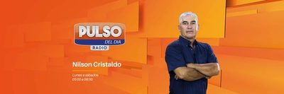 Pulso del Día