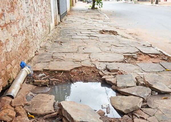 Piden eliminar criaderos después de las  lluvias - Locales - ABC Color