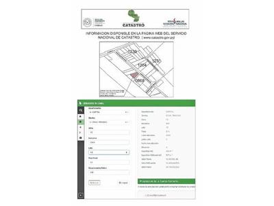 Abogado afirma que no tiene interés en tierras en litigio