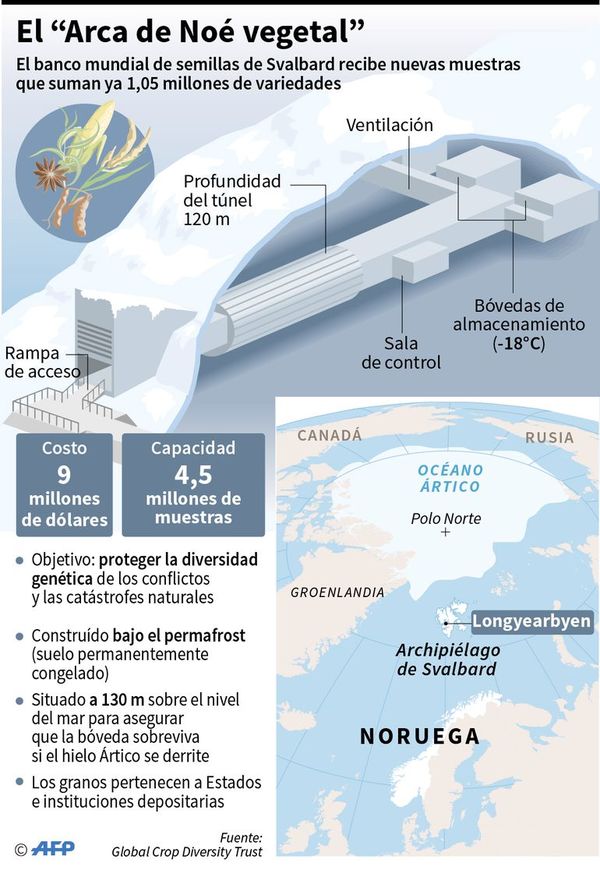 Arca de Noé vegetal supera millón de semillas almacenadas en el Ártico - Internacionales - ABC Color