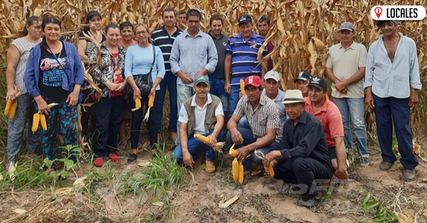 En Itapúa, brindan asistencia técnica en las fincas de los productores