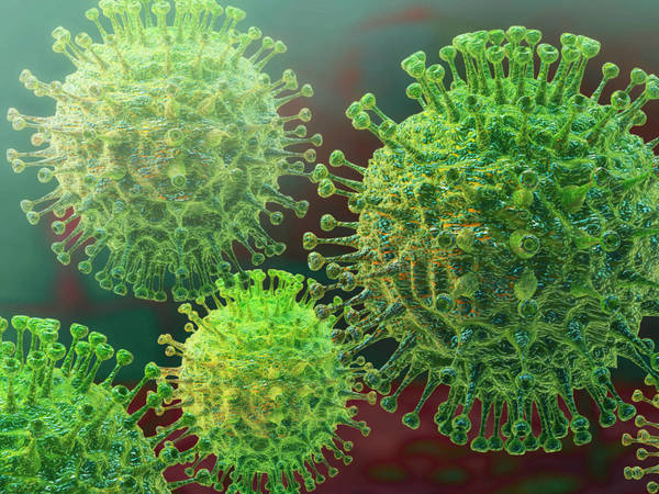 Ministerio de Salud divulga datos actualizados sobre el coronavirus - Noticde.com