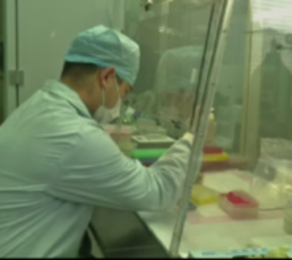 Brasil: Paciente arroja positivo a primera prueba de coronavirus - Paraguay.com