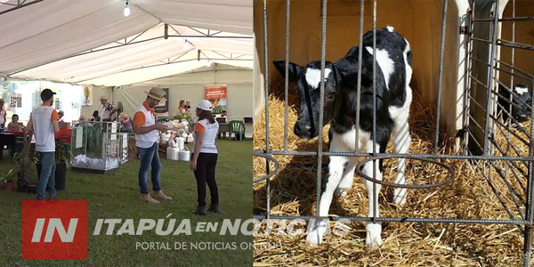 NARANJITO: CUENTA REGRESIVA PARA LA AGROFEST 2019.