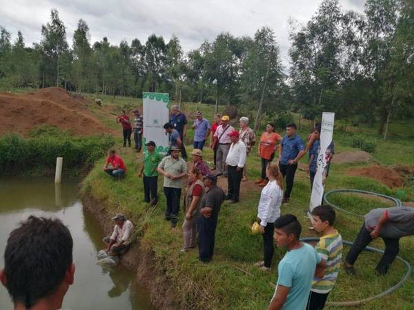 ITAPÚA: INTENSO DESARROLLO DE PROGRAMA DE PISCICULTURA EN EL INTERIOR