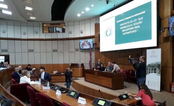 HOY / Fernando Silva Facetti habló sobre el proyecto de ley de Seguro Obligatorio del Automotor, mencionó que es obligatorio para el país