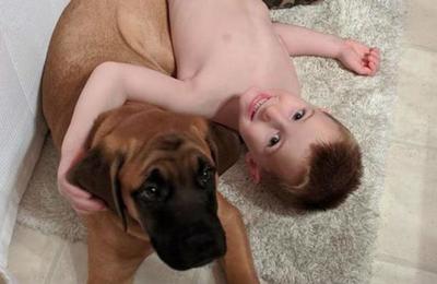 Perro acompaña a un niño castigado y demuestra su lealtad a toda prueba - SNT