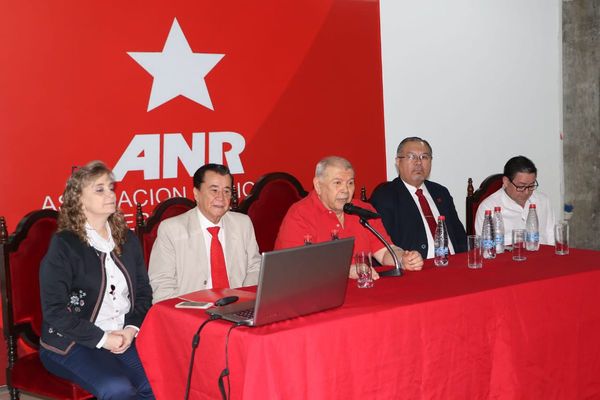 ANR informó sobre listas desbloqueadas y financiamiento político