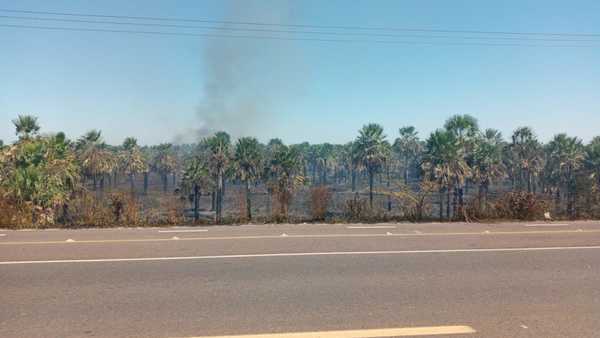 Incendio forestal en inmediaciones de la Ecovía de Luque » Ñanduti