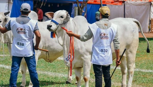 No habrá Expo Curuguaty 2020 por crisis económica