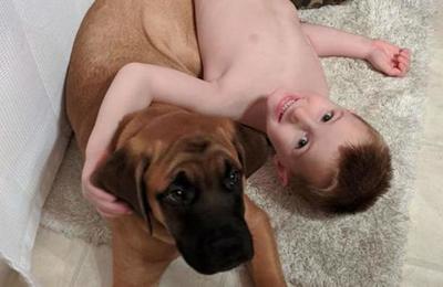 Perro acompaña a un niño castigado y demuestra su lealtad a toda prueba - C9N