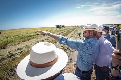 Presidente anuncia producción récord en el campo y reafirma apoyo al sector | .::Agencia IP::.