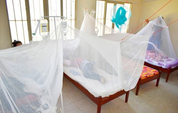 Confirman tres casos de dengue hemorrágico en Ayolas - Digital Misiones
