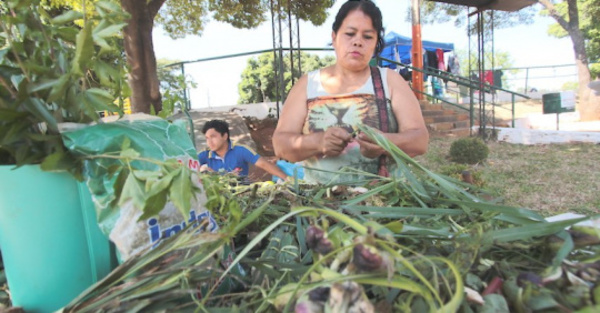 Pionera en yuyos festeja a lo grande “Día del tereré”