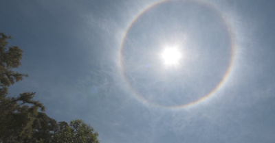 Apareció halo solar y loperro oñe emociona