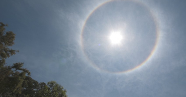 Apareció halo solar y loperro oñe emociona