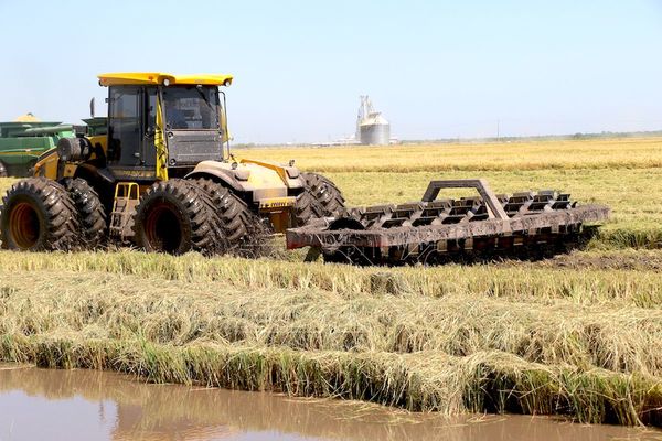 Grupo GPSA presenta su potencial productivo en 3ª Jornada del Arroz