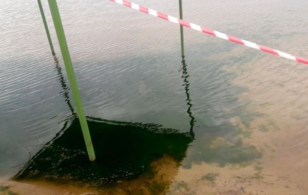 Preocupa presencia de algas verdes en playa Pirayú de Carmen del Paraná - Digital Misiones