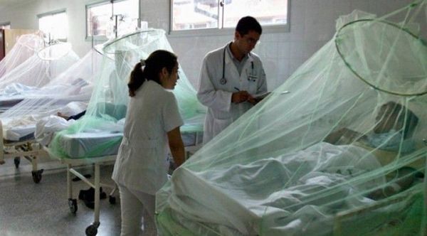 El dengue no da tregua en Misiones, ya van más de 800 casos notificados - Digital Misiones