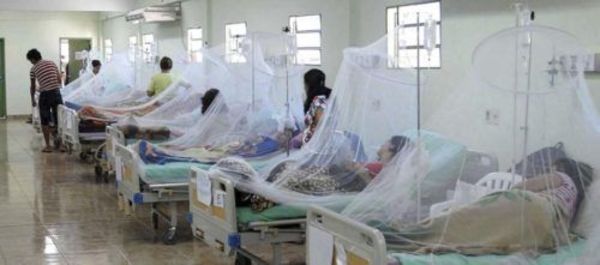 Ya son 104 los casos de dengue sólo en Santa Rosa Misiones - Digital Misiones